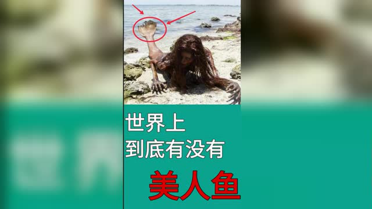 儒艮(海牛目儒艮科动物)_搜狗百科
