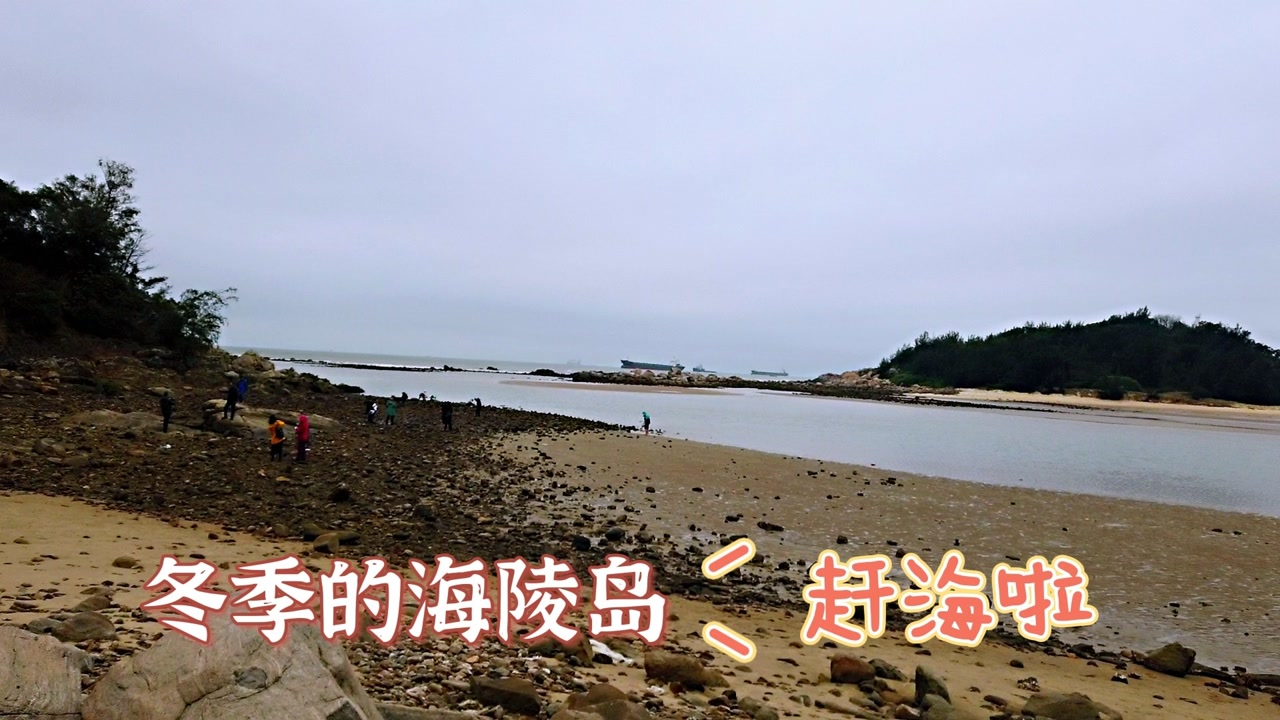冬季来阳江海陵岛赶海,满沙滩慕名而来的游客,随便都能捡一大桶