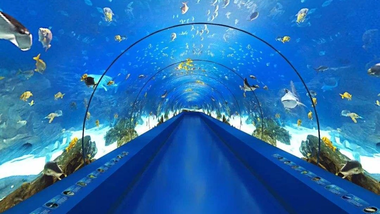 山东韩国海底隧道图片
