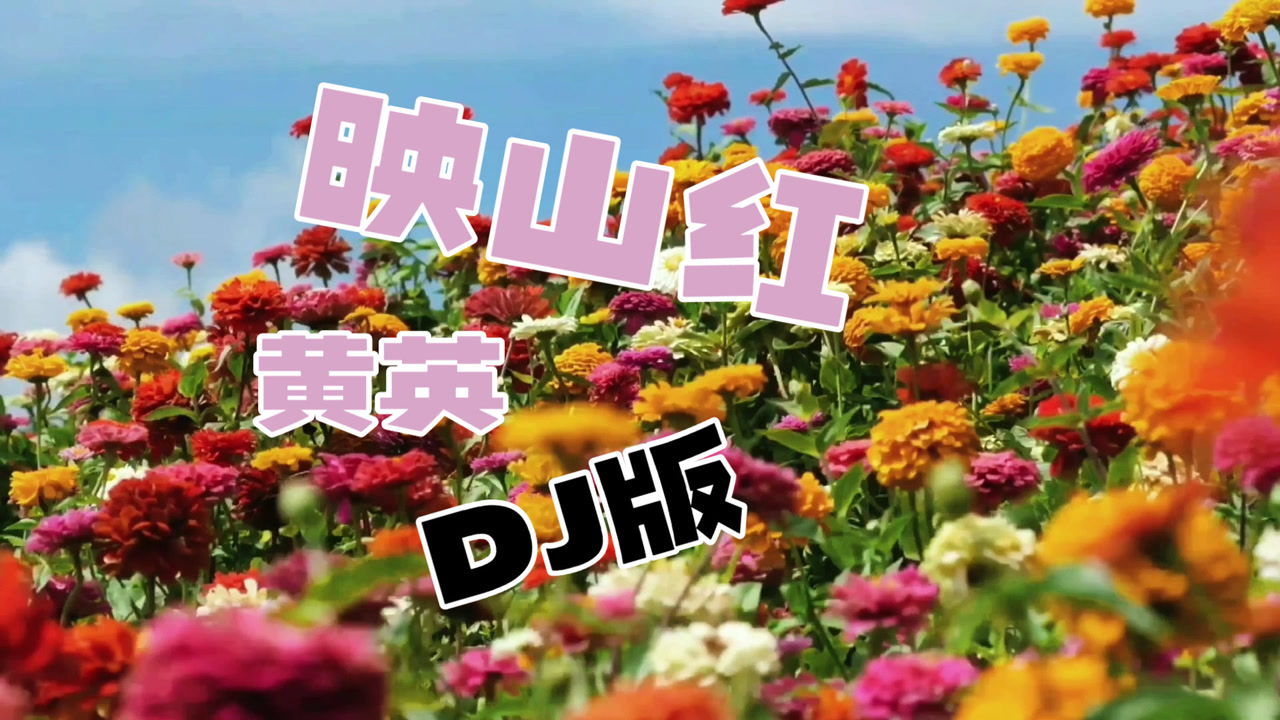这才是全网最好听的版本,黄英《映山红》dj版,被天使吻过的嗓音,超重