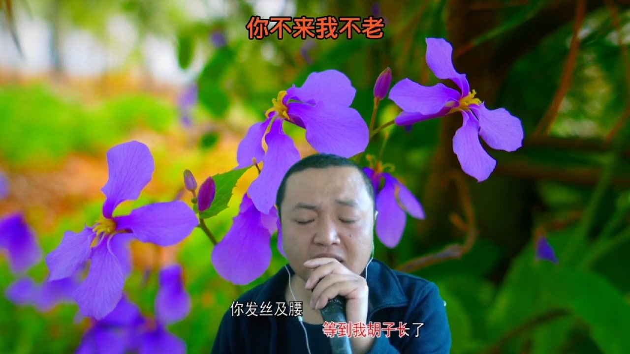 学唱一首好听的网络情歌《你不来我不老》