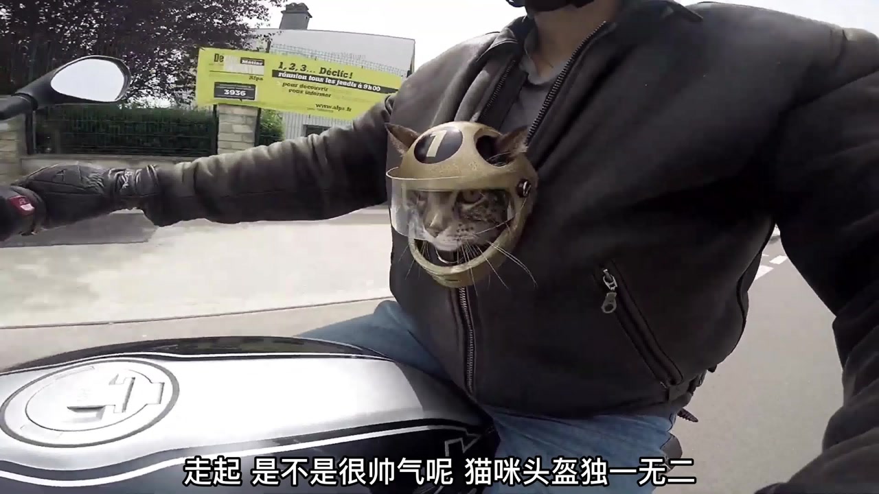 猫咪骑摩托车不能没有戴头盔,用3d打印做一个猫头盔