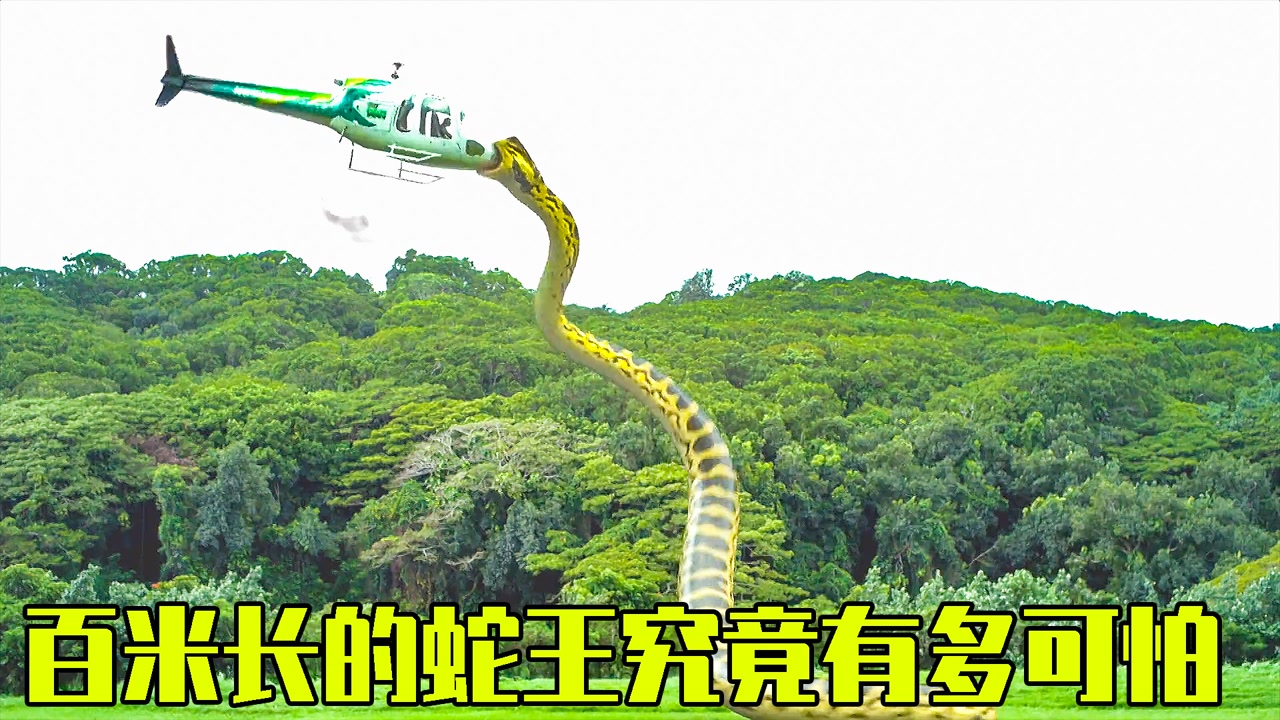 森林里有一条百米长的蛇王,只要见过它的人,全得领盒饭,蛇鱼怪