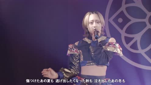 柳緑花红 腾讯视频