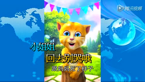 金杰猫66期方言