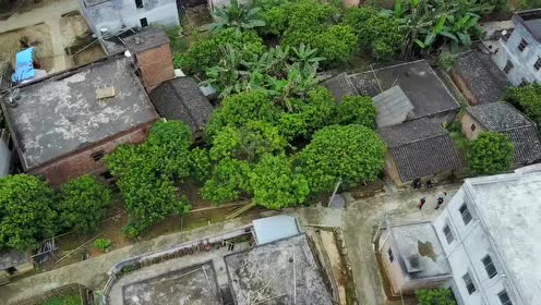 航拍都平清水湾,封开最美乡村