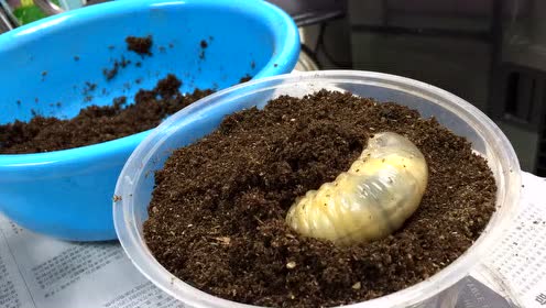 腾讯视频