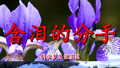 分手后不要做朋友 歌词版 腾讯视频