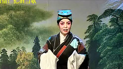 河南道情《张廷秀私访》李艳玲(高清版)