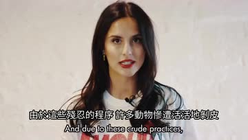 英国美女发声：伦敦时装周应禁止皮草