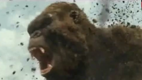 最凶残的动物_地球上最凶残的动物,让人闻风丧胆