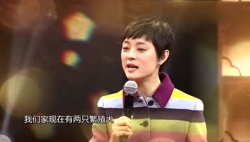 孙俪：我为什么再也不去宠物店买动物了？