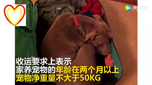 腾讯视频