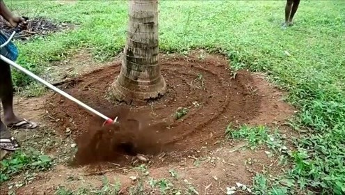 花生松土除草 腾讯视频