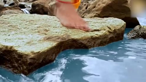 草原花美男 腾讯视频