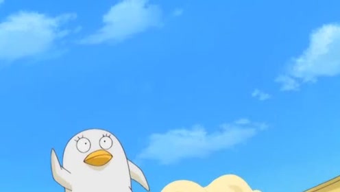 定春伊丽莎白动漫银魂真人版 腾讯视频
