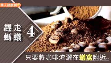 咖啡渣的10种再利用