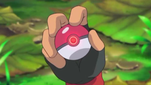 小智必须放走一只,否则精灵球无法用!放走谁呢?