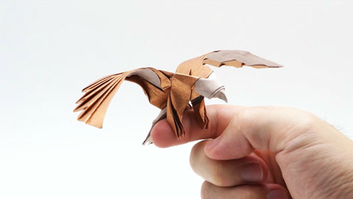老鹰折纸简单折法图片