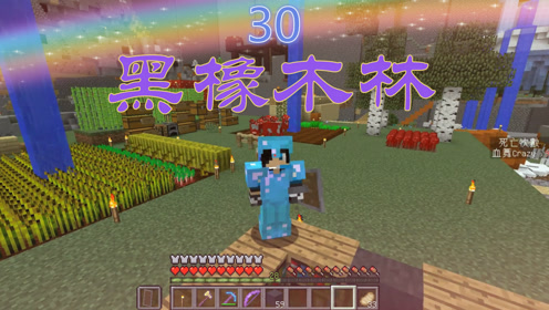 橡木林 腾讯视频