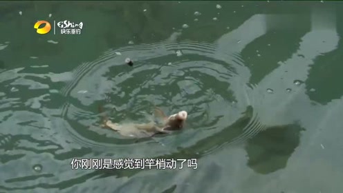 鳆 腾讯视频