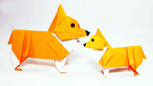 创意折纸教程,教你折叠一只小狗