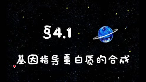 高中生物必修二《遗传与进化》4.1 基因指导蛋白质的合成