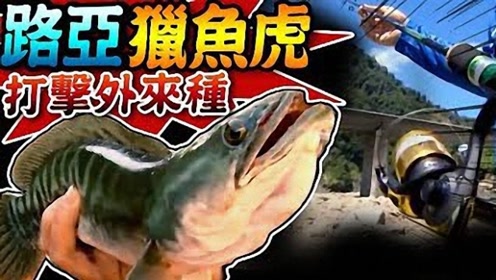 腾讯视频