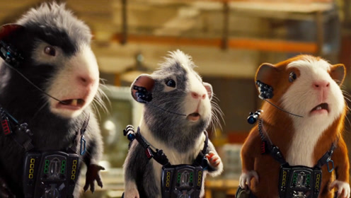 豚鼠身怀绝技,被训练成超级特工,抢了人类特工的饭碗