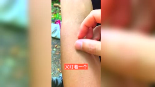 植物拉丁学名 腾讯视频