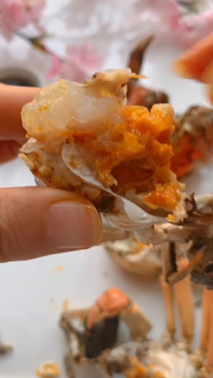 吃螃蟹就要吃好的螃蟹,这肉真香,甜甜的嫩嫩的好吃