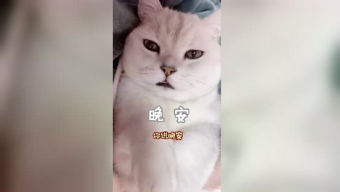 腾讯视频