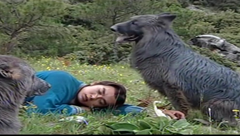 电视剧:狼侠上传者:可爱婷婷爱影视时 间:2021-08-05狼侠:高手不自量