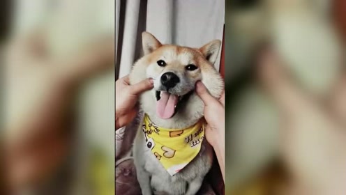 腾讯视频