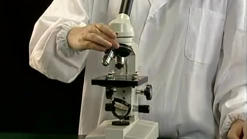 高中生物实验演示-辅导视频