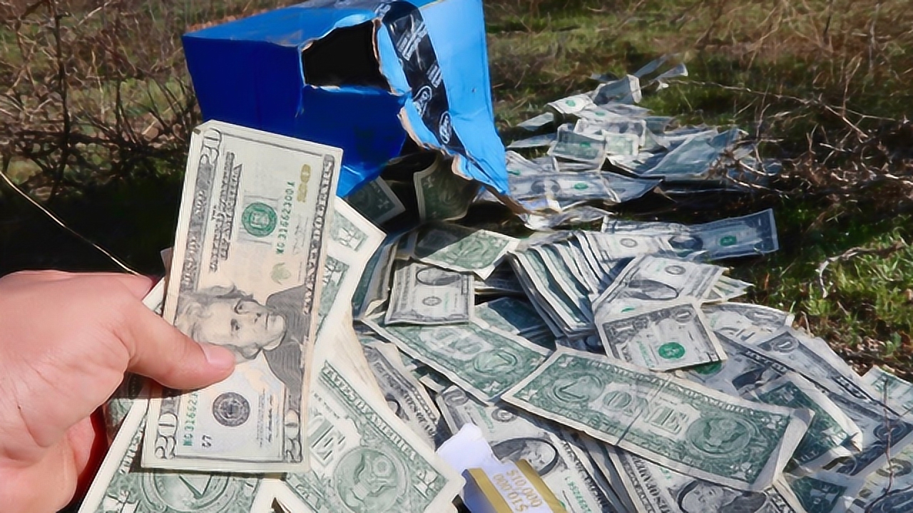 野外捡到一箱美金,这是怎么回事!