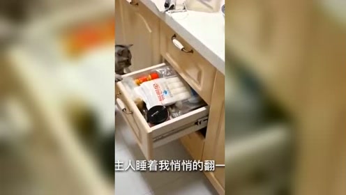 腾讯视频