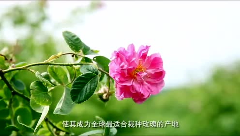 腾讯视频