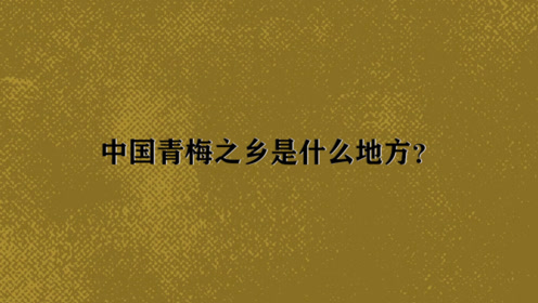 青梅之乡 腾讯视频