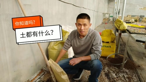鹿沼优妃 腾讯视频