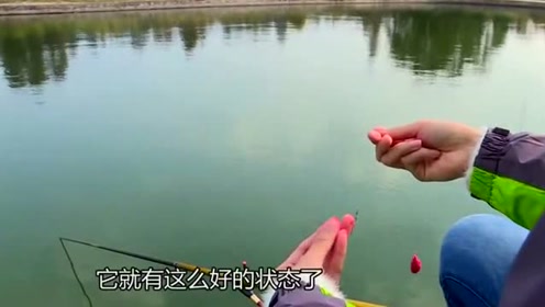 钓友改用软黏饵，效果非常不错