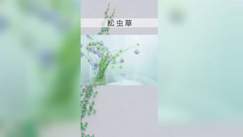 腾讯视频