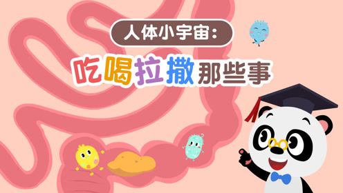 熊猫博士——人体小宇宙:吃喝拉撒那些事