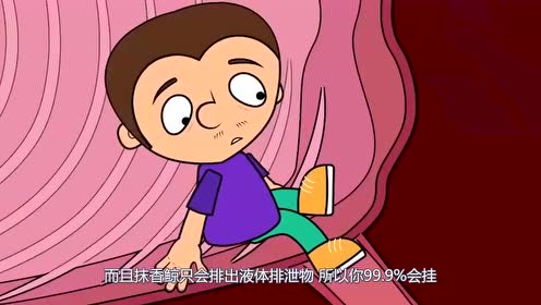 人被鲸鱼一口吞下肚子,还有多大几率逃生3d动画模拟全过程