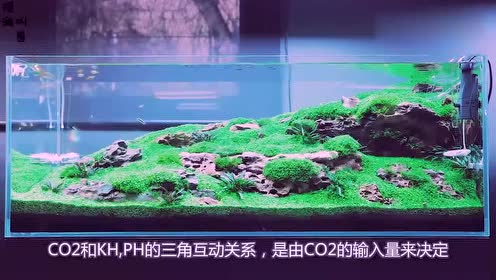 Co2水草表 腾讯视频