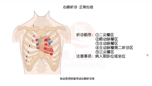 第三心音标志着图片