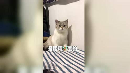 腾讯视频