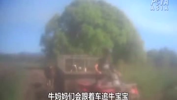 乳制品产业背后的真相