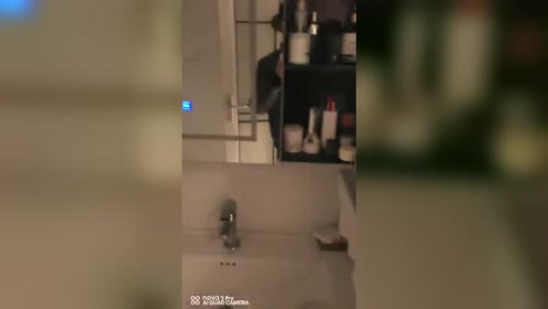 敦盛11 腾讯视频