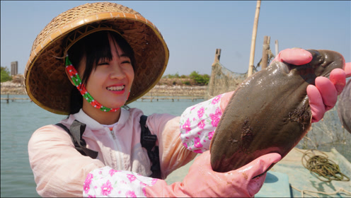 0:09:22阿渔妹赶海收获罕见大鱼,一笼海货让她想起初恋男友,心都开了